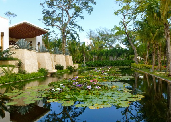 Entrance at Dorado Beach, A Ritz Carlton Reserve