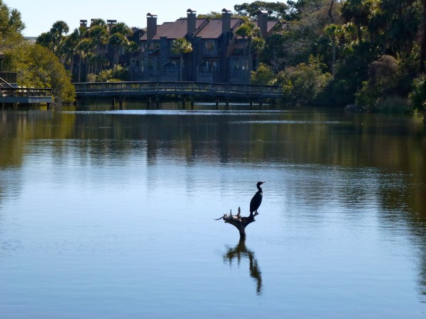 One of Kiawah Island's many lagoons