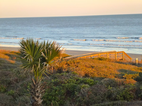 View from my oceanfront condo