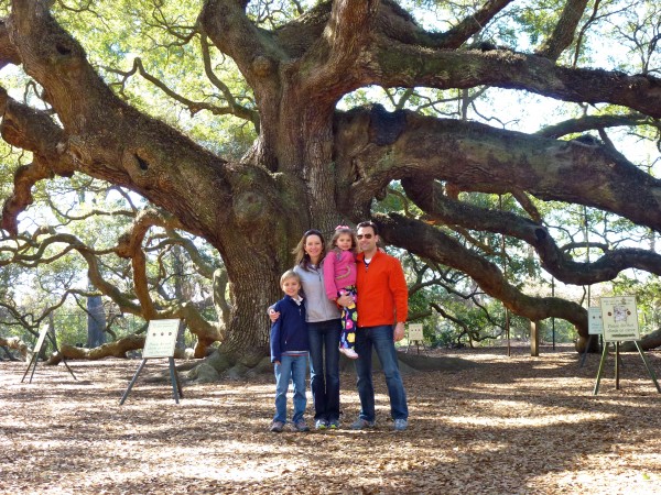 Visiting the Angel Oak on route to Charleston
