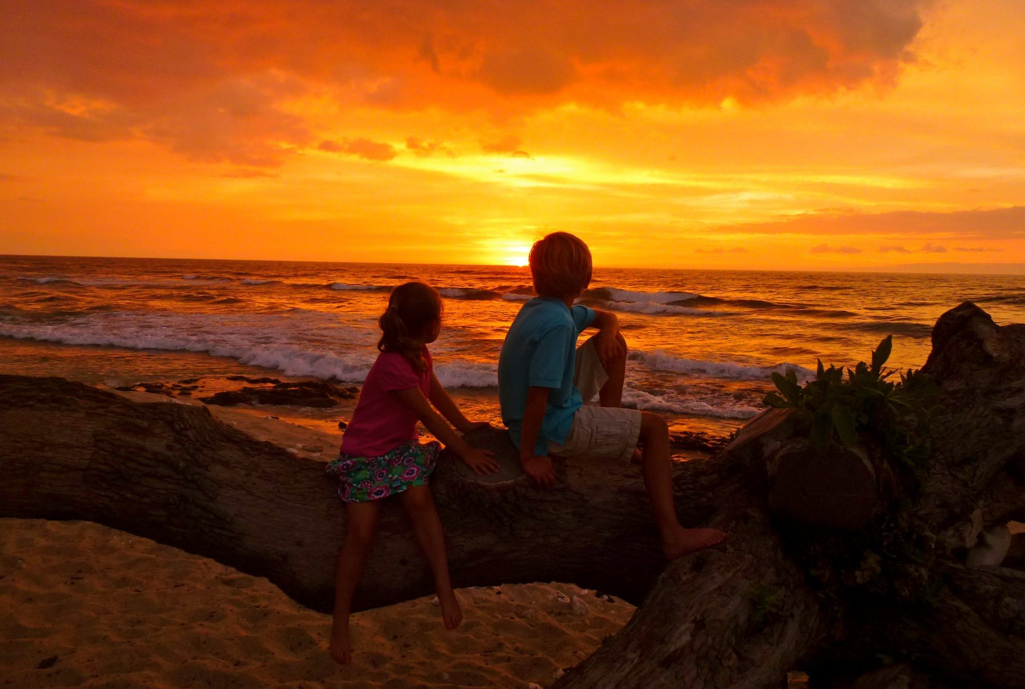 hawaii-part-iii-the-big-island-and-back-to-oahu-katherine-gould