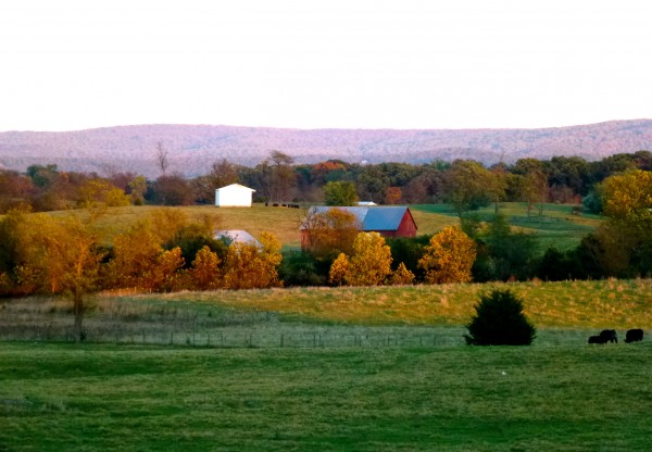 Hunt country in Virginia