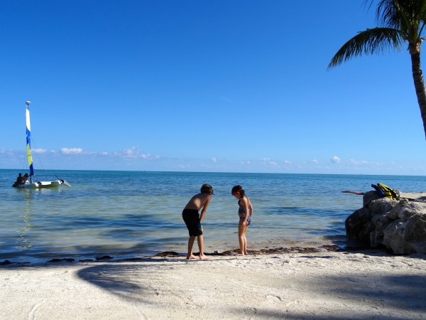 Cheeca Lodge beach