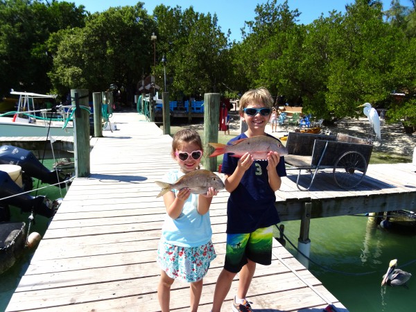 Islamorada fishing