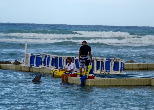 Dolphin Center, Half Moon