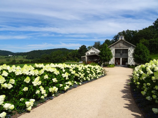 Pippin Hill, Virginia