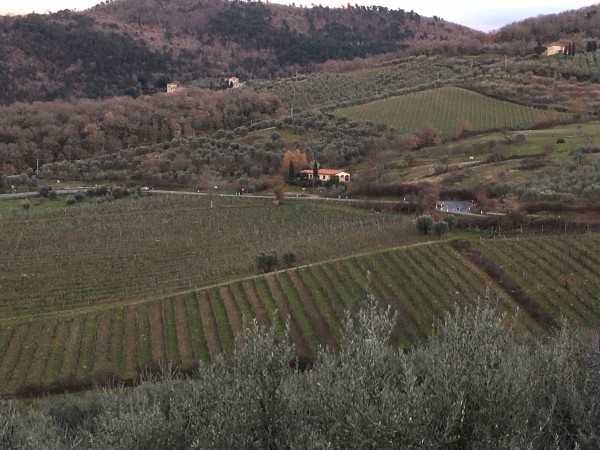 The Tuscan countryside