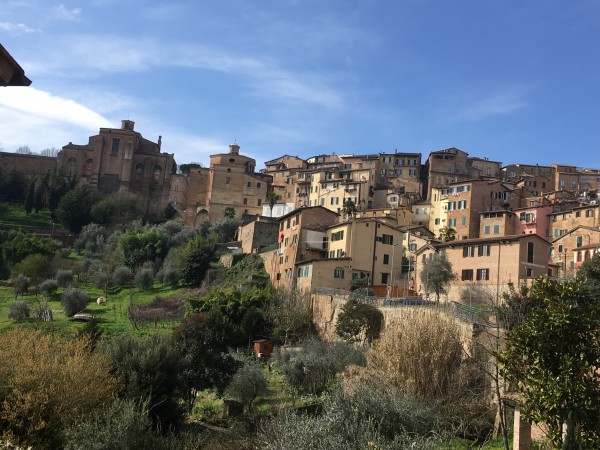 Siena landscape