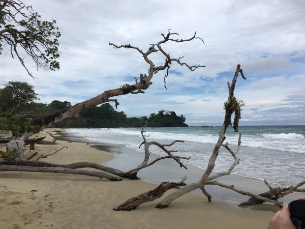 On the beach in Panama, Red Frog Beach