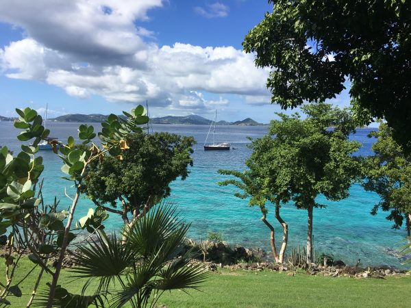 Caneel Bay's Turtle Point