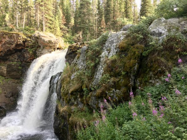 Moose Falls in Yellowstone National Park