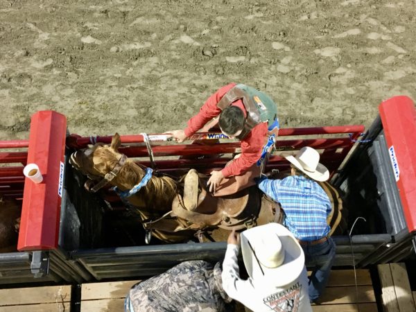 VIP Seats at the Jackson Hole Rodeo