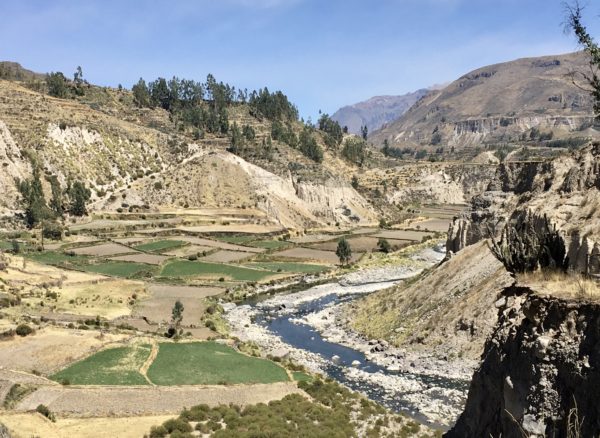 Colca Valley, Peru