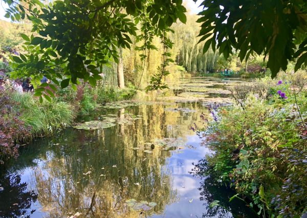 Water lilies of Giverny