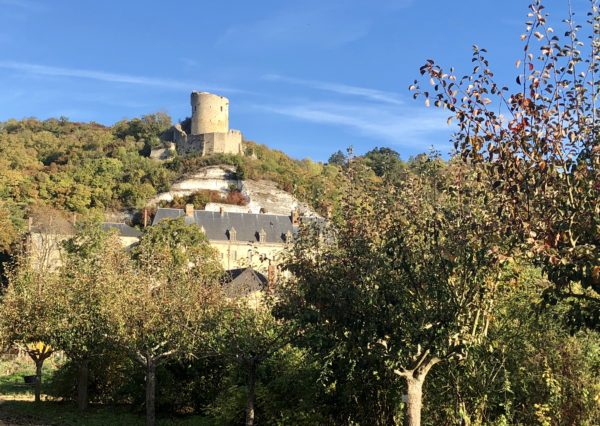 The Chateau de la Roche-Guyon