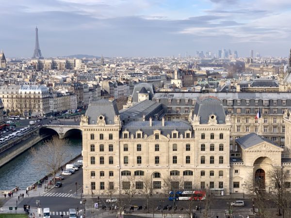 View of Paris from the top of Notre Dame