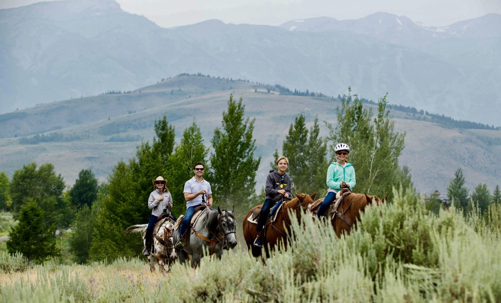 Jackson Hole, WY