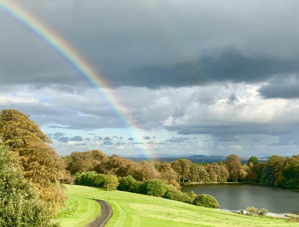 Magical Ballyfin