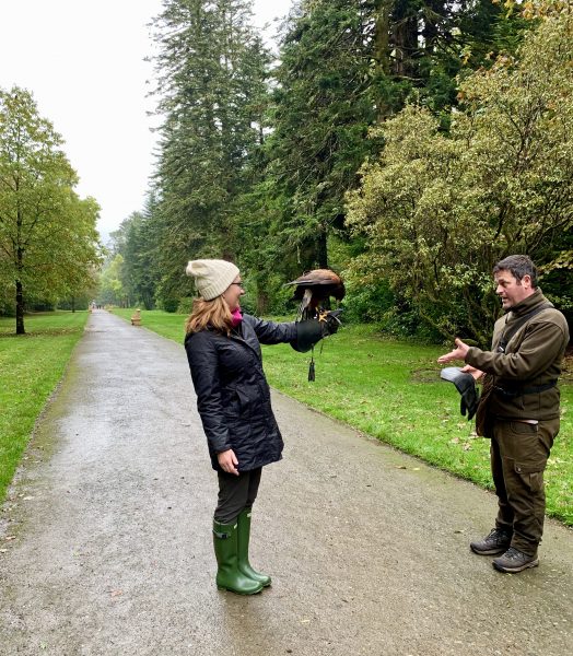 Falconory at Ashford Castle