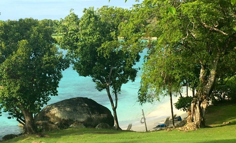 A view of a beach with trees and a rock.